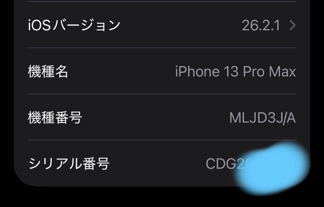 Apple iPhone 13 Pro Max シエラブルー256GB