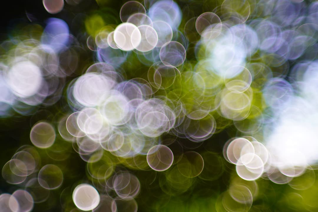 【バブルボケ】ミノルタ Auto-Rokkor-PF 58mm F1.4 125