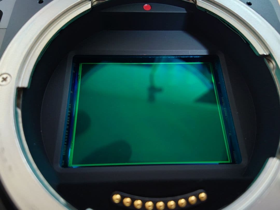 【即日発送】HASSELBLAD X1D II 50C おまけ・外箱付