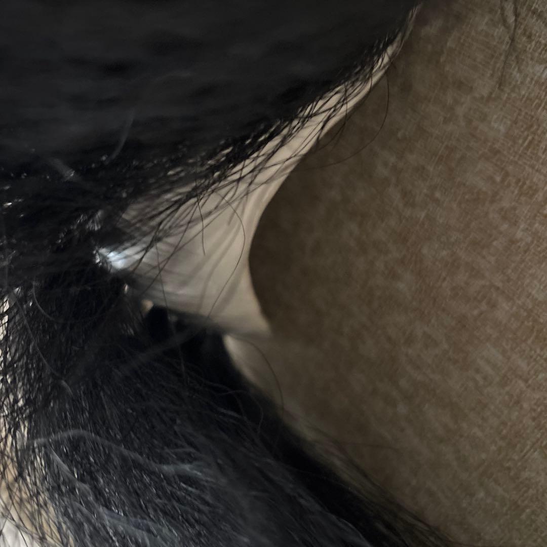 石見神楽面 鍾馗 柿田勝郎作