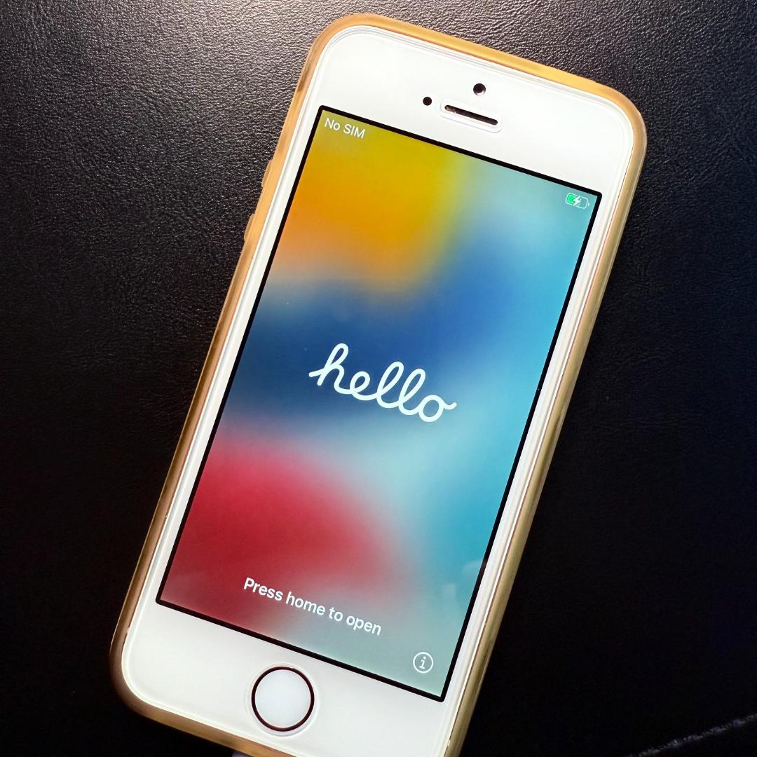 Apple iPhone SE (第一世代) SIMフリー