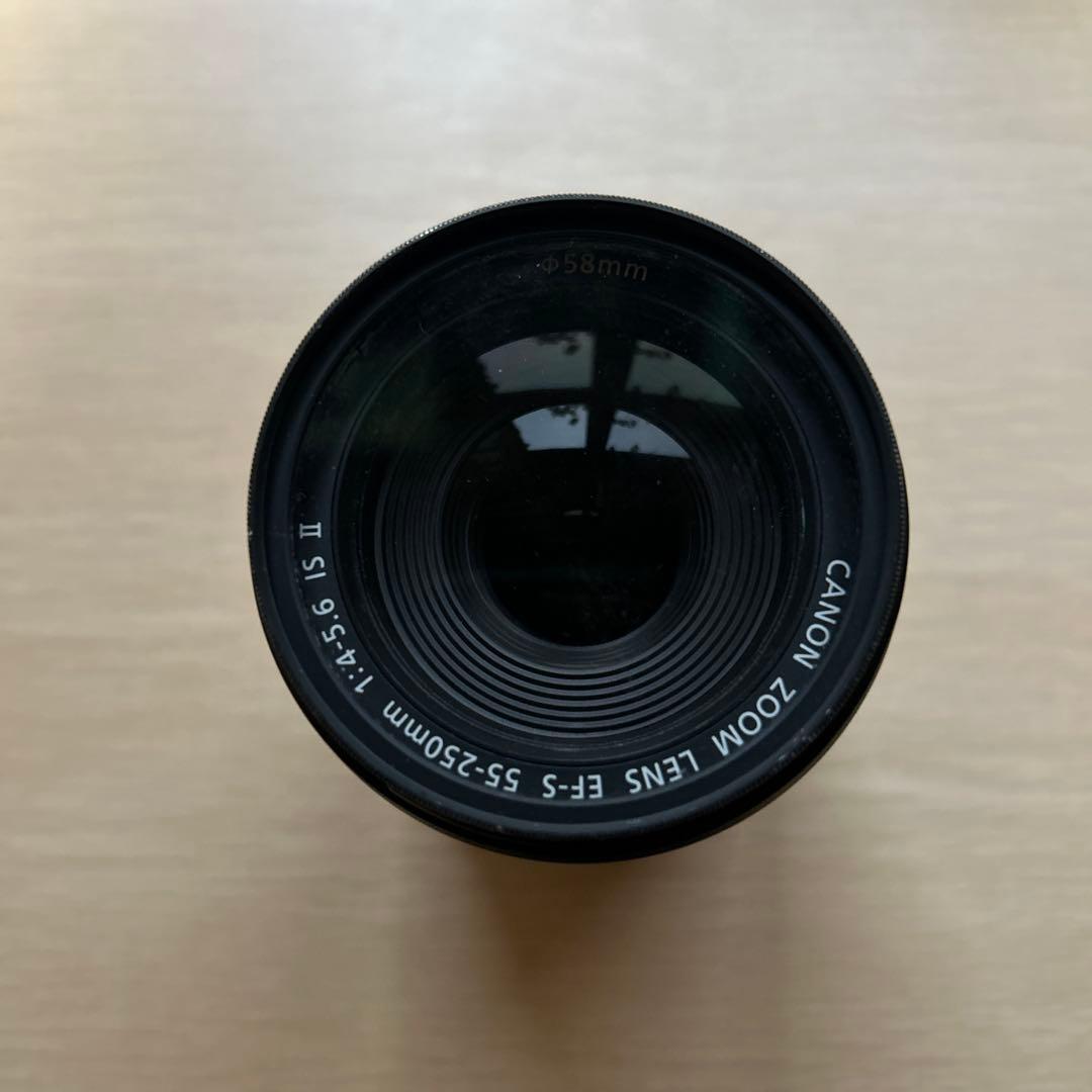CANON EFS55-250 プロテクター付き