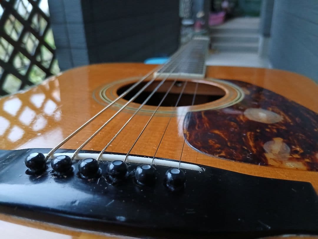 MORRIS TF-50(HC付き)