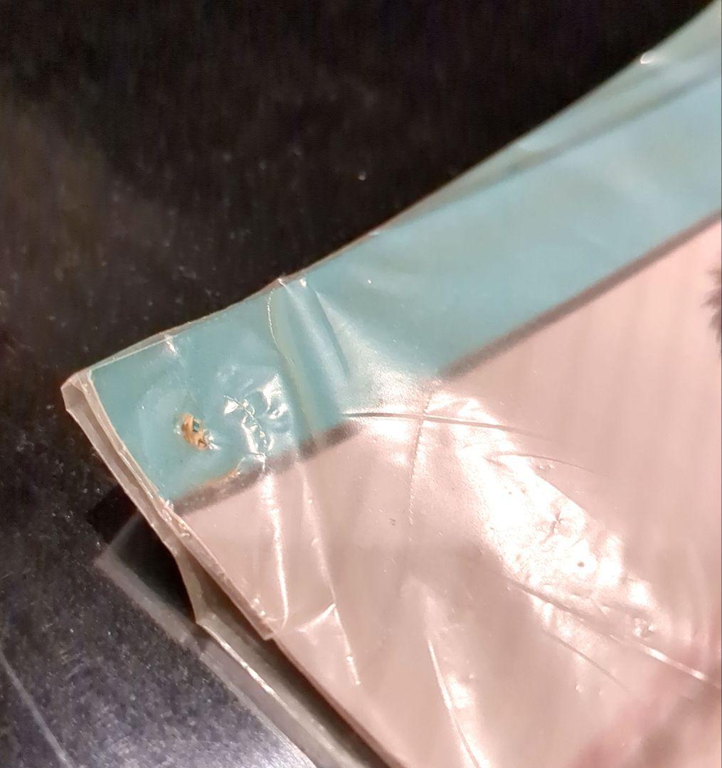 【希少・当選品】名古屋グランパス ヴァスティッチ 直筆サイン入り写真 月刊グラン