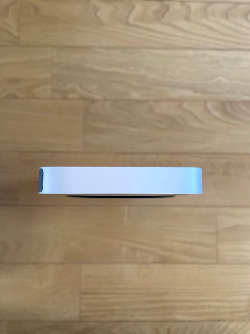 Apple Mac mini 16gb 2TB アップル　マック