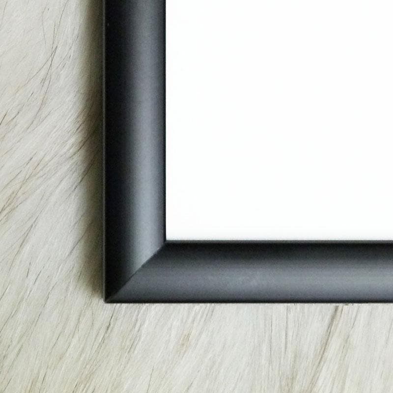 額装品/アレクサンダー・ジラード 1968 アートポスター シルクスクリーン