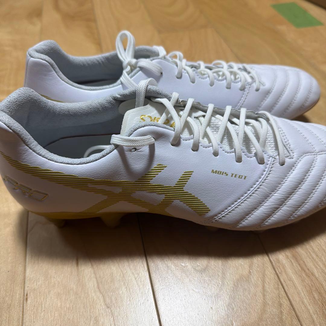 fjd　DS LIGHT X-FLY PRO ST メンズ