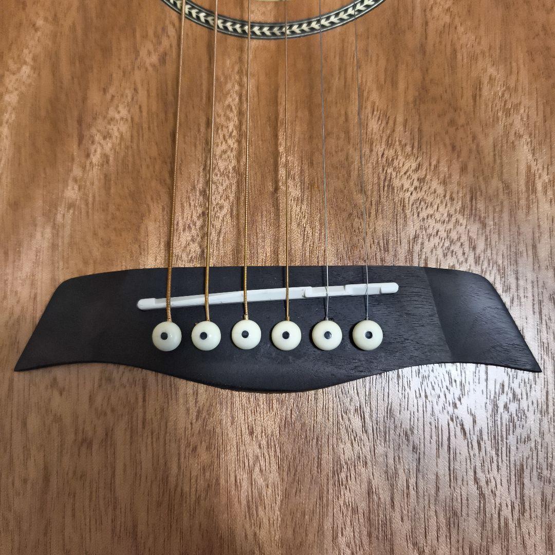 Syain アコースティックギター YM-02/MH ギターケース付き