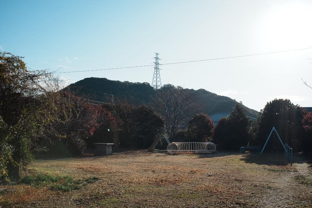 【整備＆テスト済】Canon New FD 35mm F2 キャノン 571