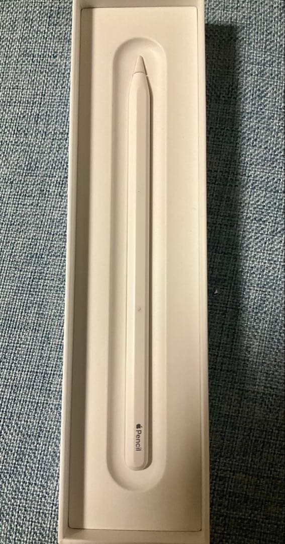 Apple Pencil アップルペンシル　第2世代