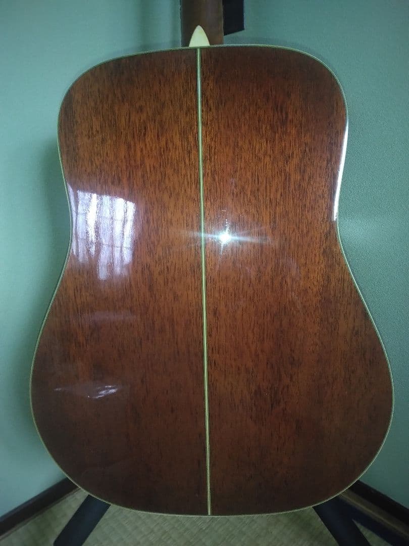 タカミネギター