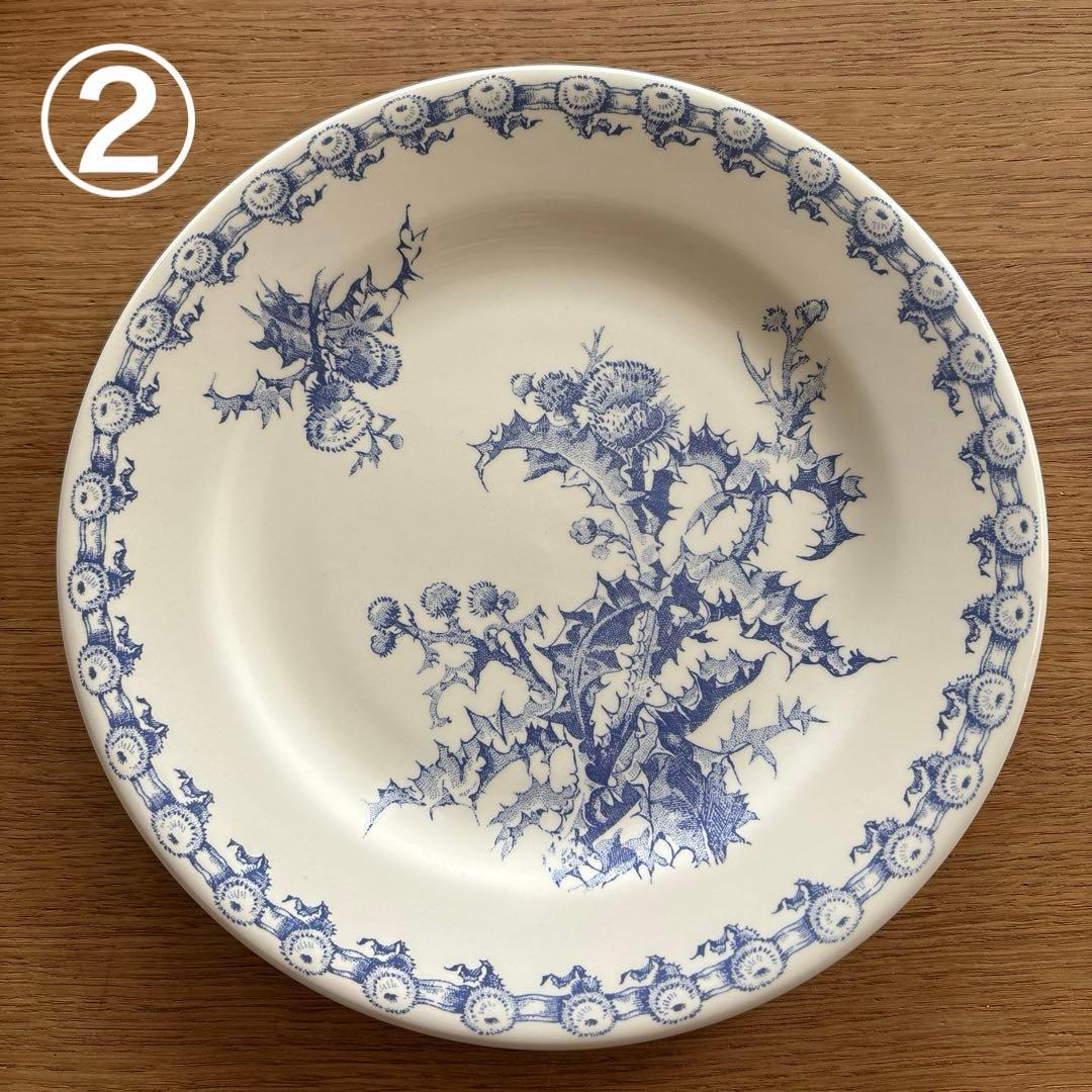 廃盤　ヴィンテージ　Chardons Grien ジアン　皿 あざみ　2客