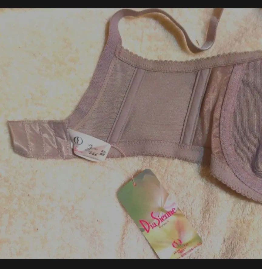 専用です！2枚のお値段です❗️ダイアナブラジャーｆ65