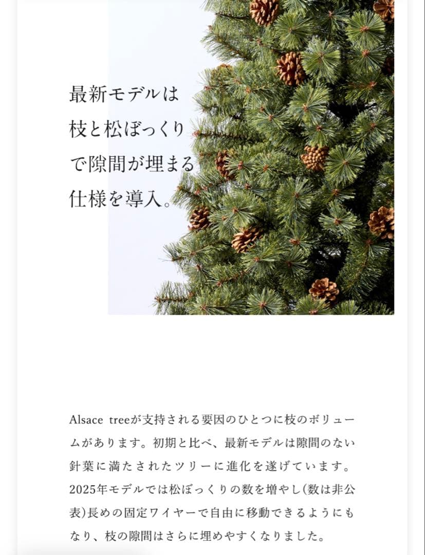 アルザスツリー150 2025ver.