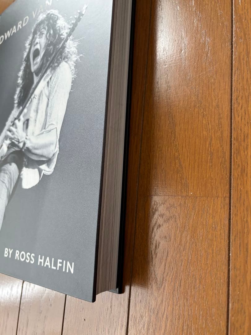 アート・デザイン・音楽 EDWARD VAN HALEN By Ross Halein