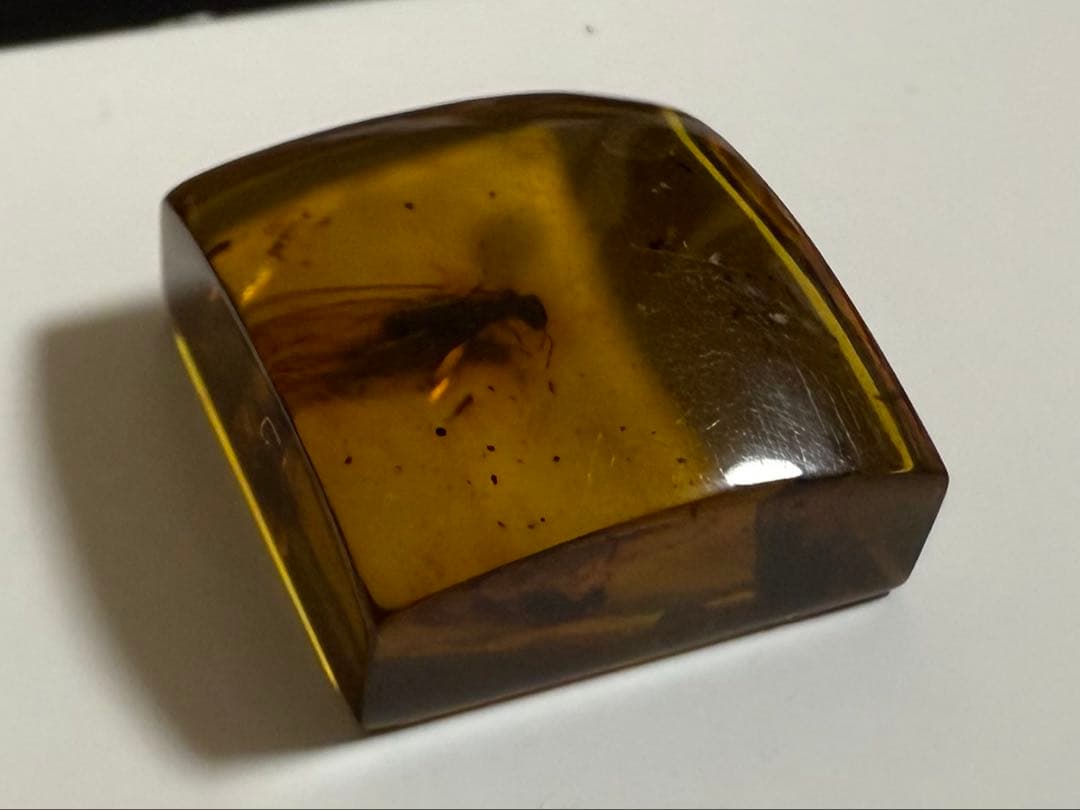 新品未使用 バルティックアンバー 虫入り琥珀 スクエア ルース 2/2