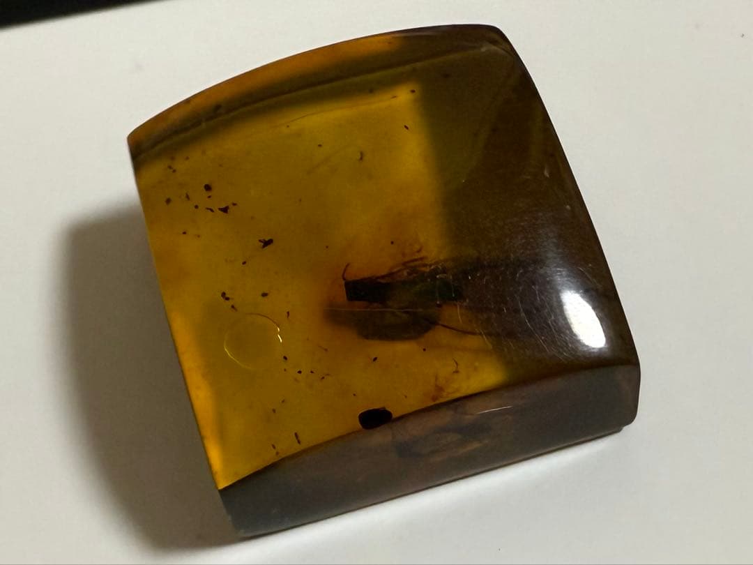新品未使用 バルティックアンバー 虫入り琥珀 スクエア ルース 2/2