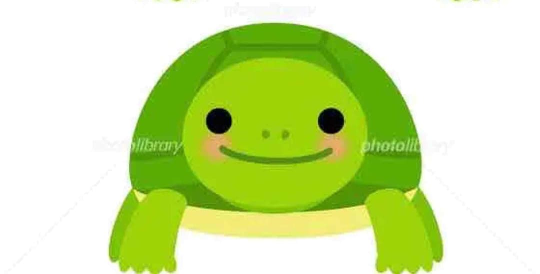 確認✿ᵕ̈*
