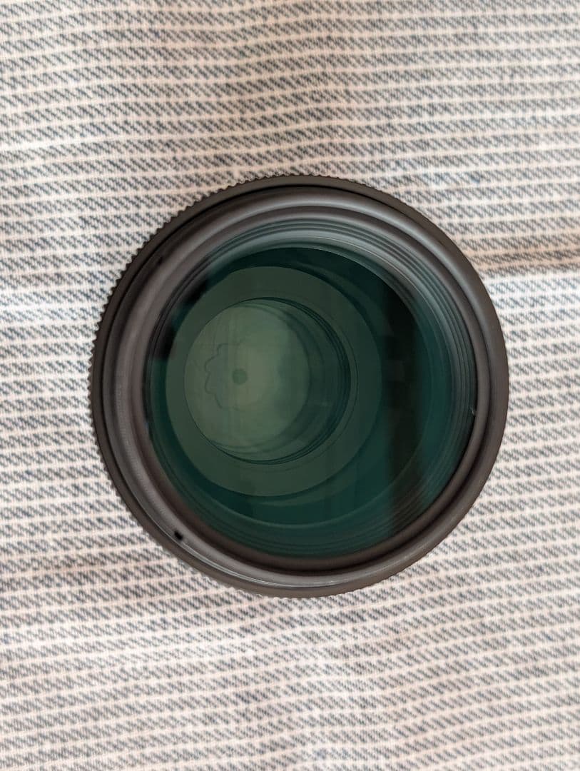 TRさん専用 シグマレンズ 105mm F2.8 DG DN Lマウント