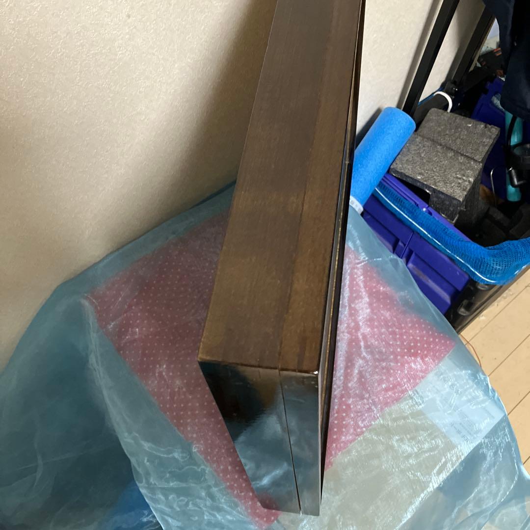 パラワンアカエリトリバネアゲハ♂♀