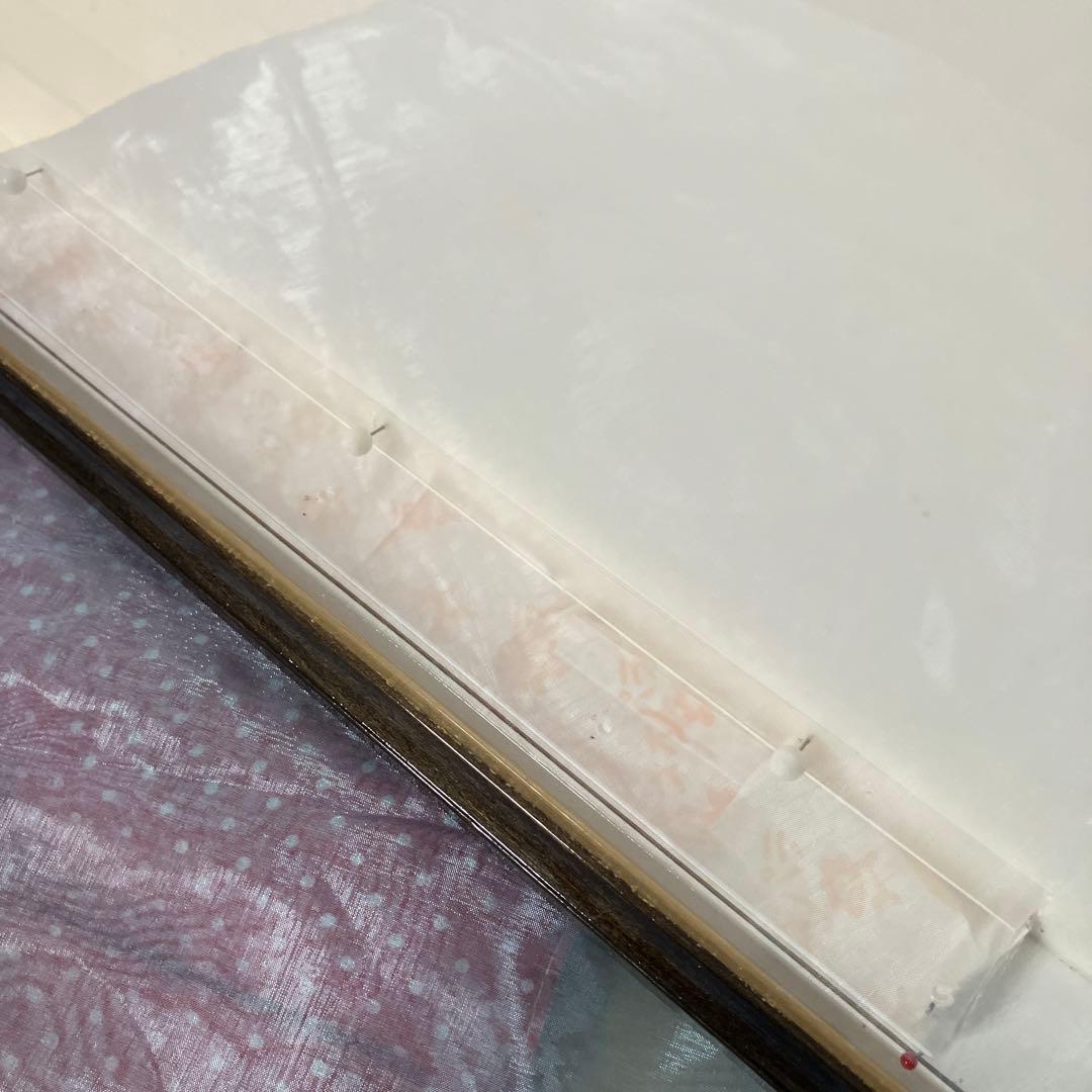 パラワンアカエリトリバネアゲハ♂♀