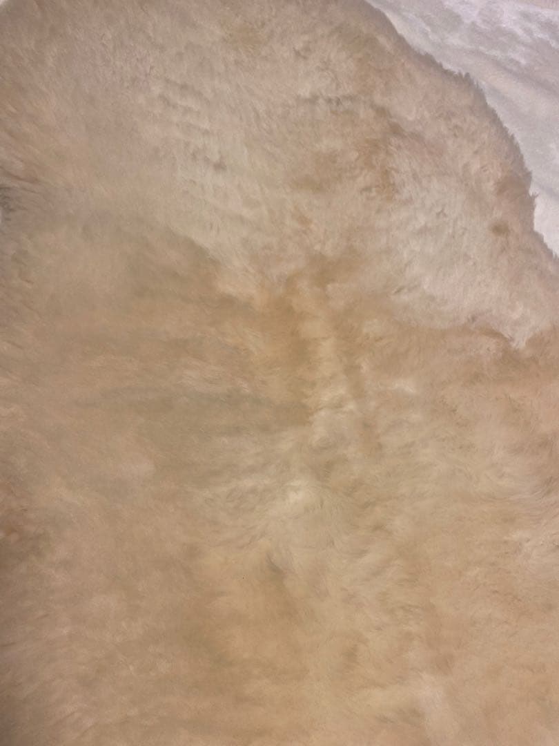 ニチロムートン　ムートンラグ　ニチロ　NICHIRO 羊毛　アイボリー