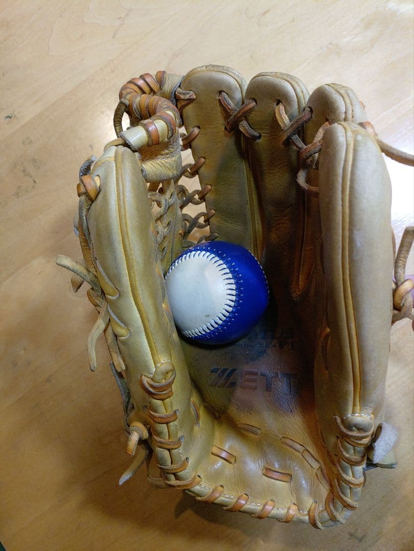 ZETT PROSTATUS 硬式グローブ