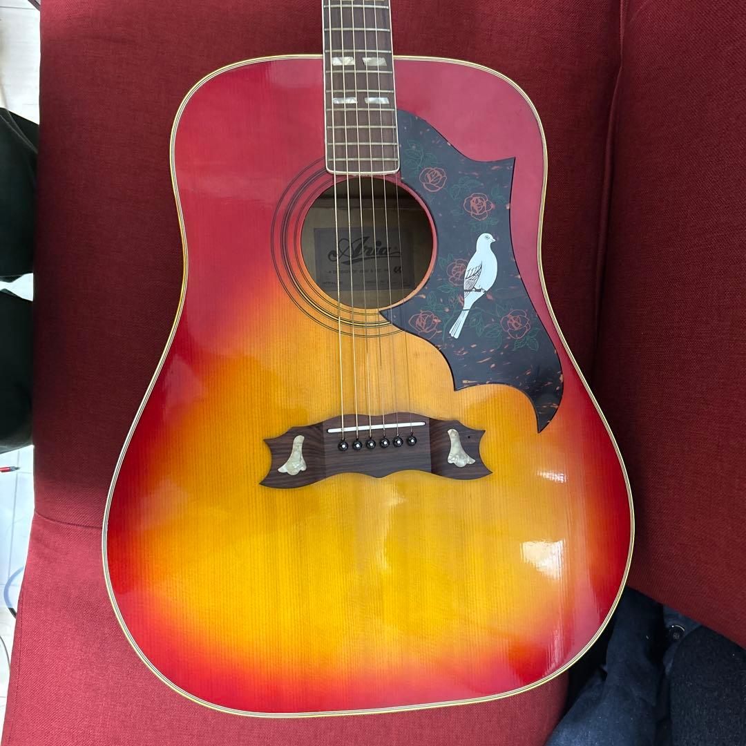 Aria WD-33 アリア　ジャパンビンテージ　ダヴタイプ