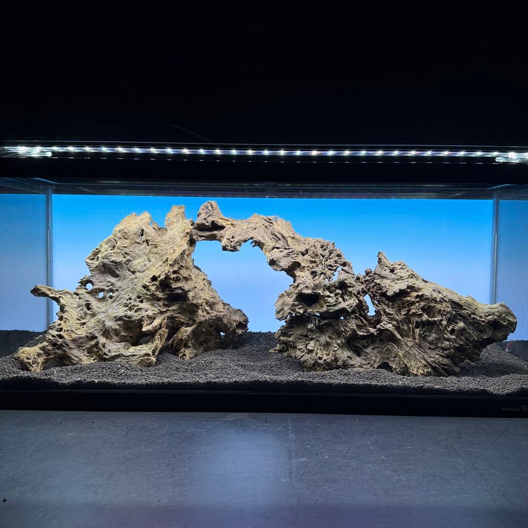 MJW-7236 「特大」ジンジャーウッド　90cm水槽用　天然流木3本セット