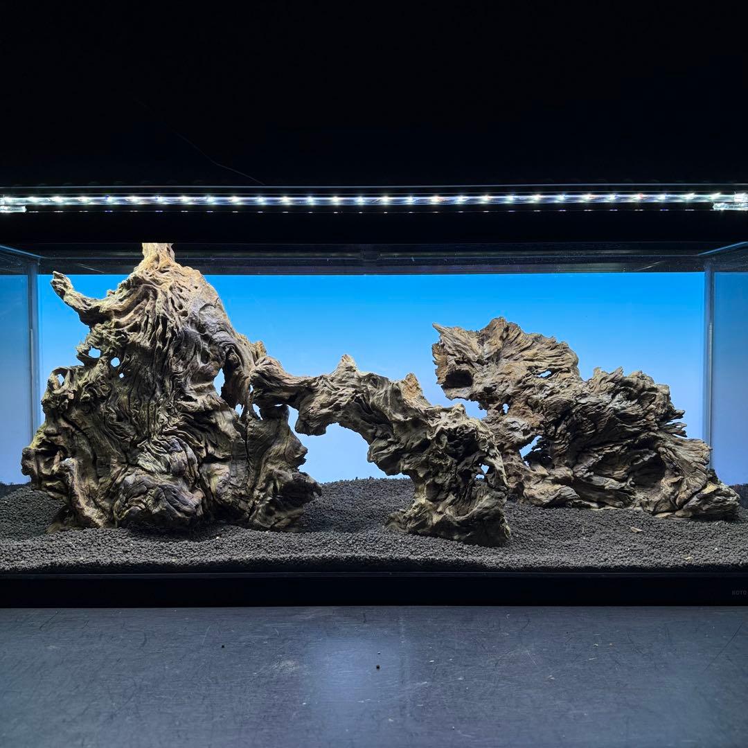 MJW-7236 「特大」ジンジャーウッド　90cm水槽用　天然流木3本セット