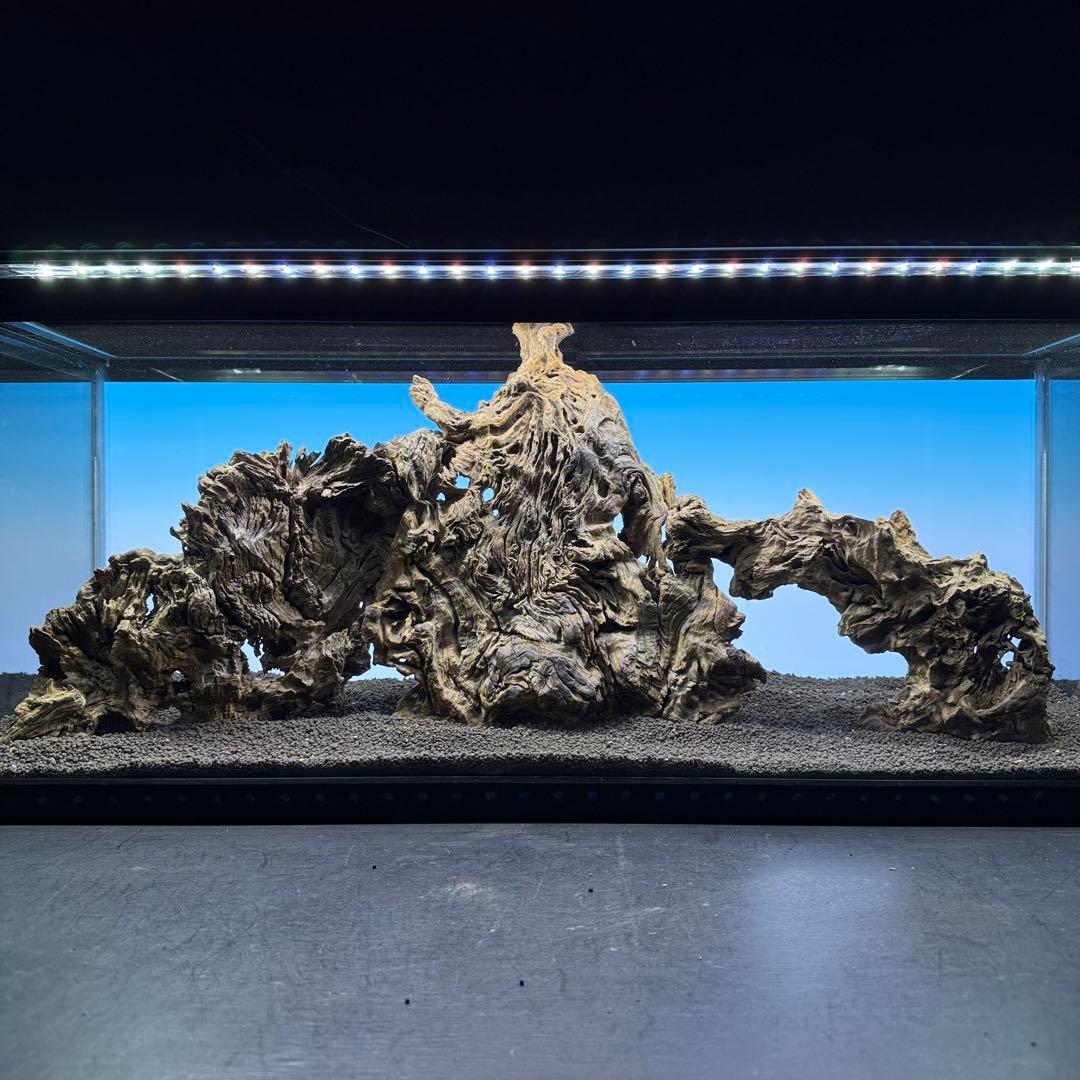 MJW-7236 「特大」ジンジャーウッド　90cm水槽用　天然流木3本セット