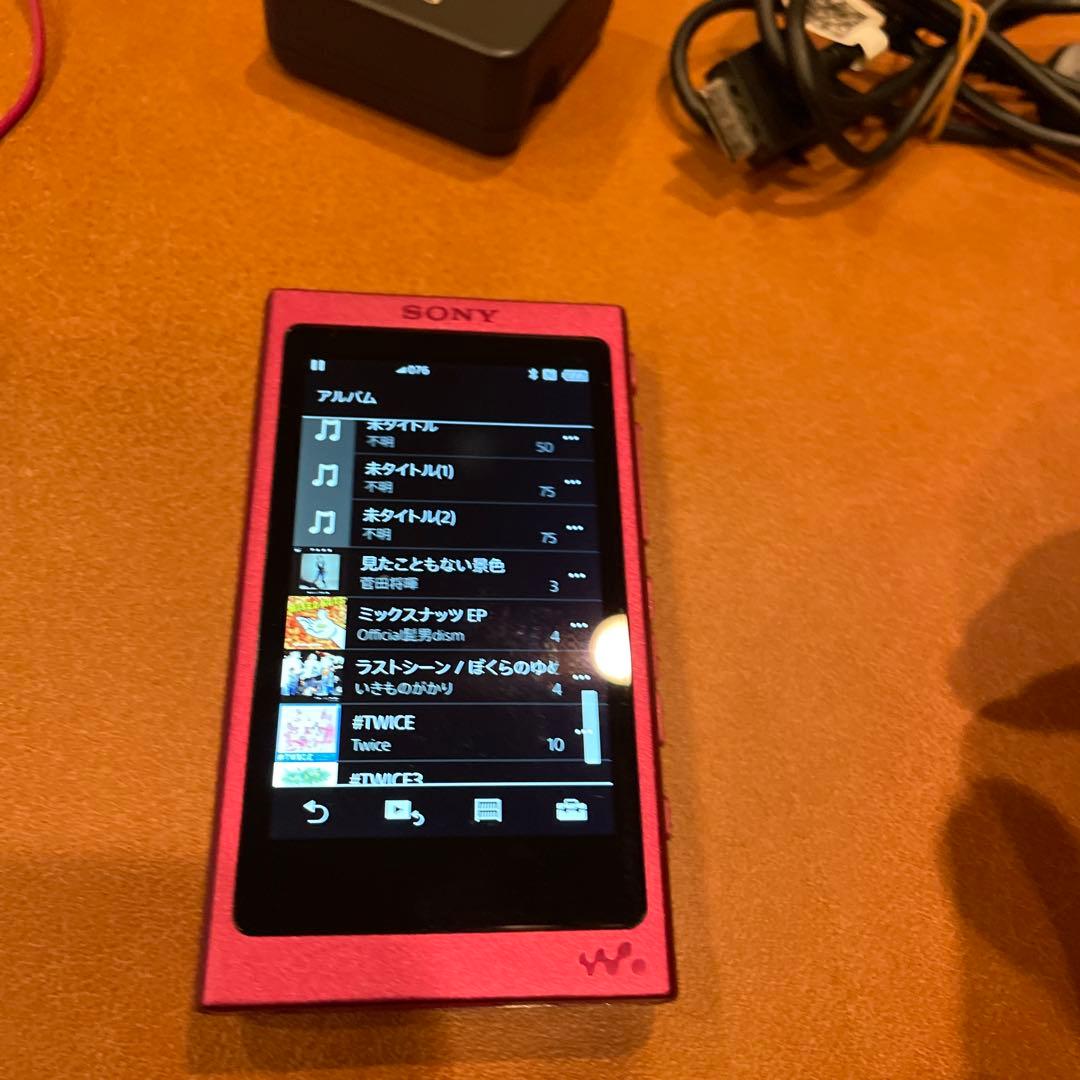 SONY NW-A35 デジタルオーディオプレーヤーケース付き動作正常