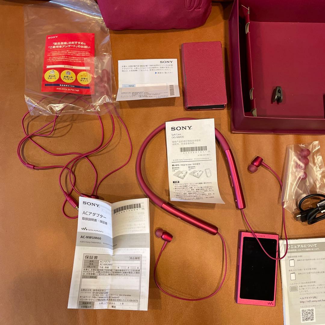 SONY NW-A35 デジタルオーディオプレーヤーケース付き動作正常