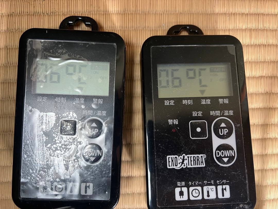 【O-1172】ジェックス EXO TERRA タイマーサーモ 照明 爬虫類