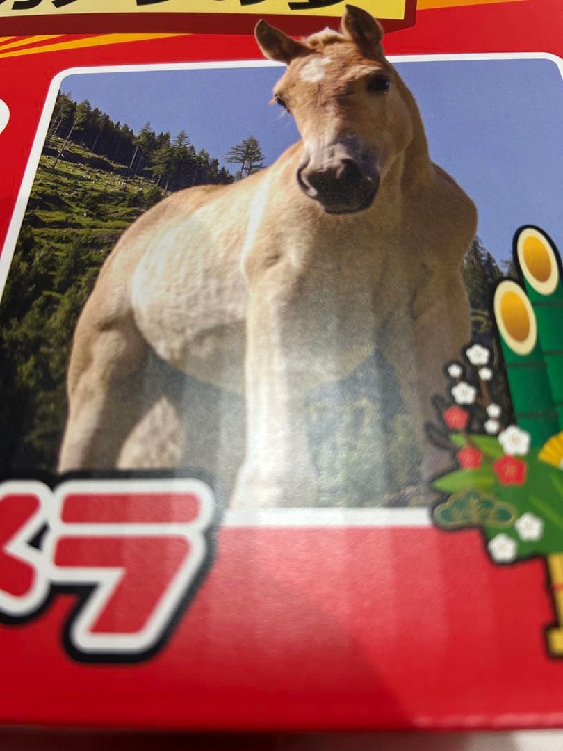 【即日発送】ヨドバシカメラ夢のお年玉箱2026 iPadの夢　新品未使用　保証書