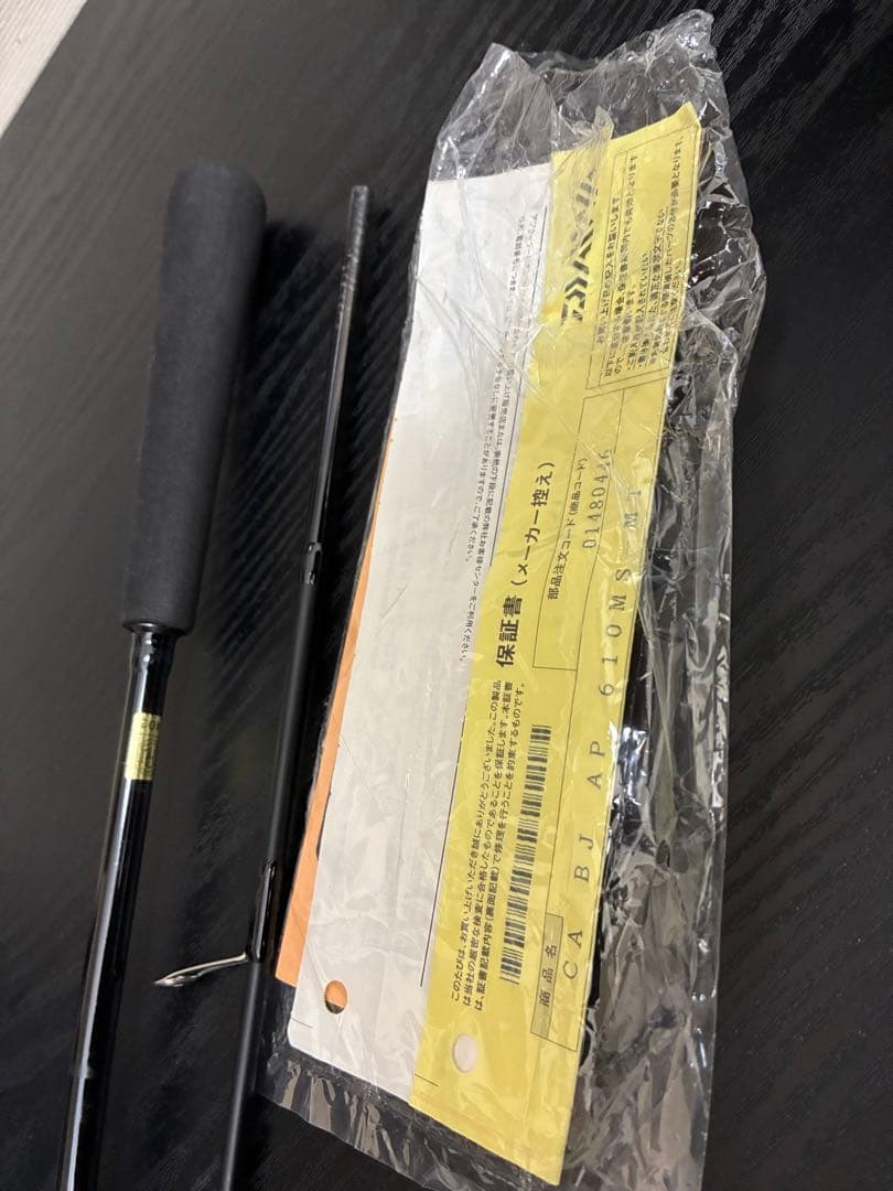 ダイワSLJキャタリナ BJ AP610MS-L