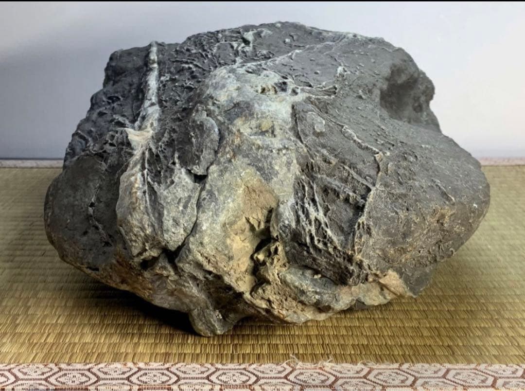 4273 粕川麒麟石 ウブ  横20×高43(cm)20.85kg