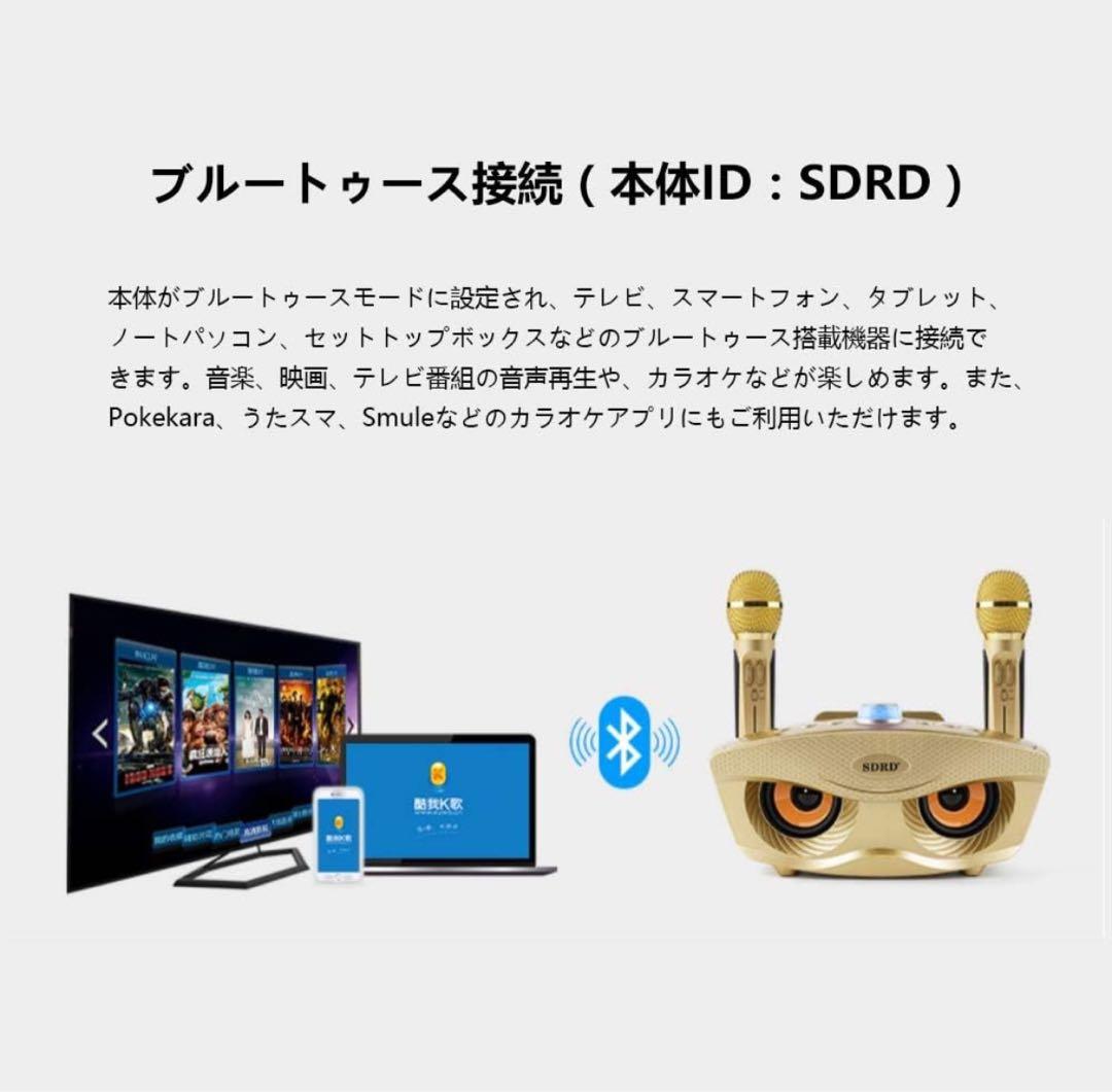 カラオケマイク 家庭用カラオケシステム ワイヤレスマイク マイク2本 無線接続