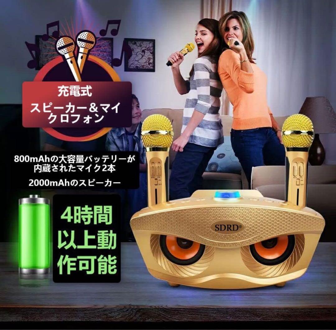 カラオケマイク 家庭用カラオケシステム ワイヤレスマイク マイク2本 無線接続