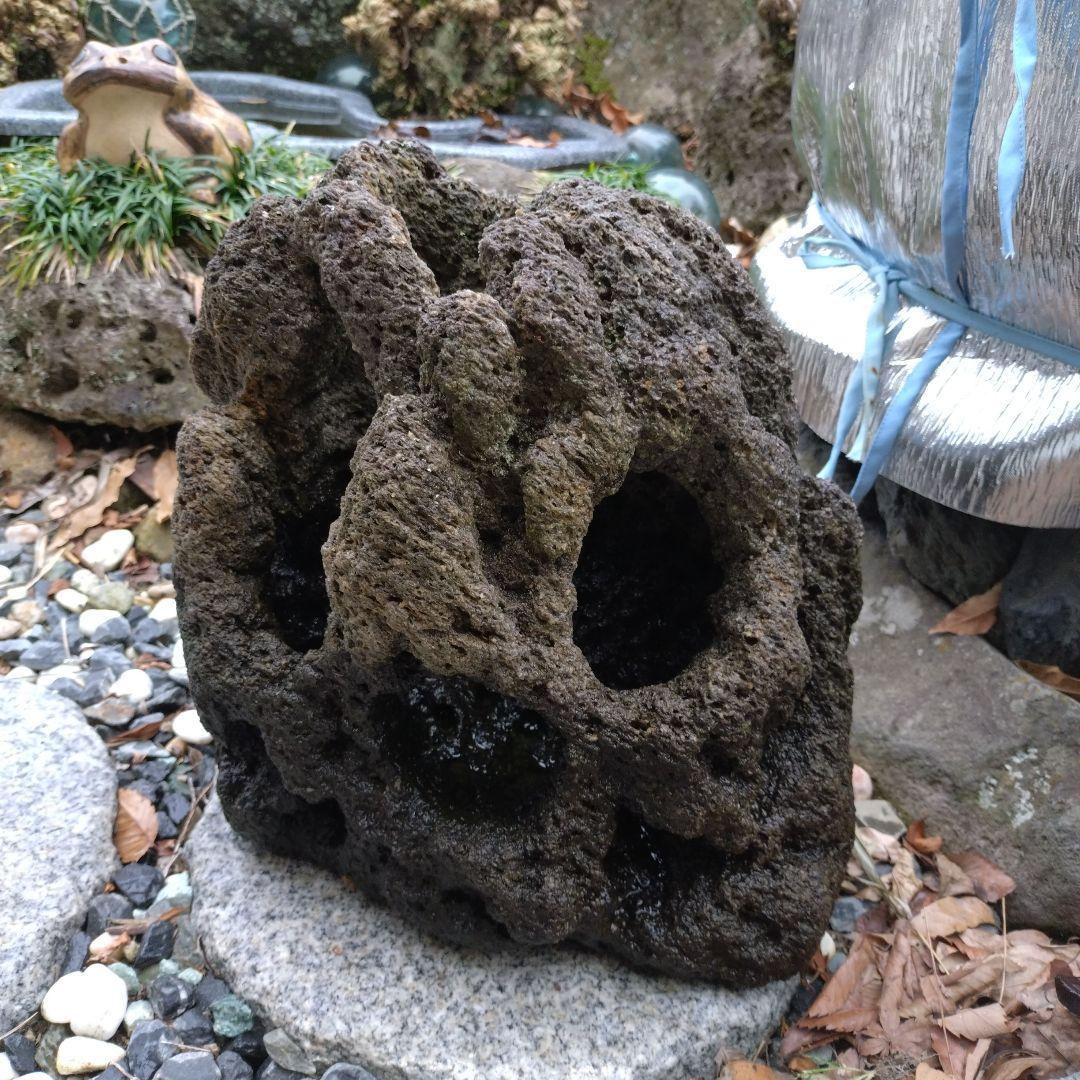 黒い溶岩石 水槽用石 大型