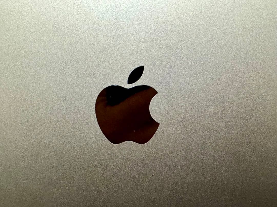 【美品】 iPad Pro 11インチ 第1世代 256GBセルラー版 値下げ中