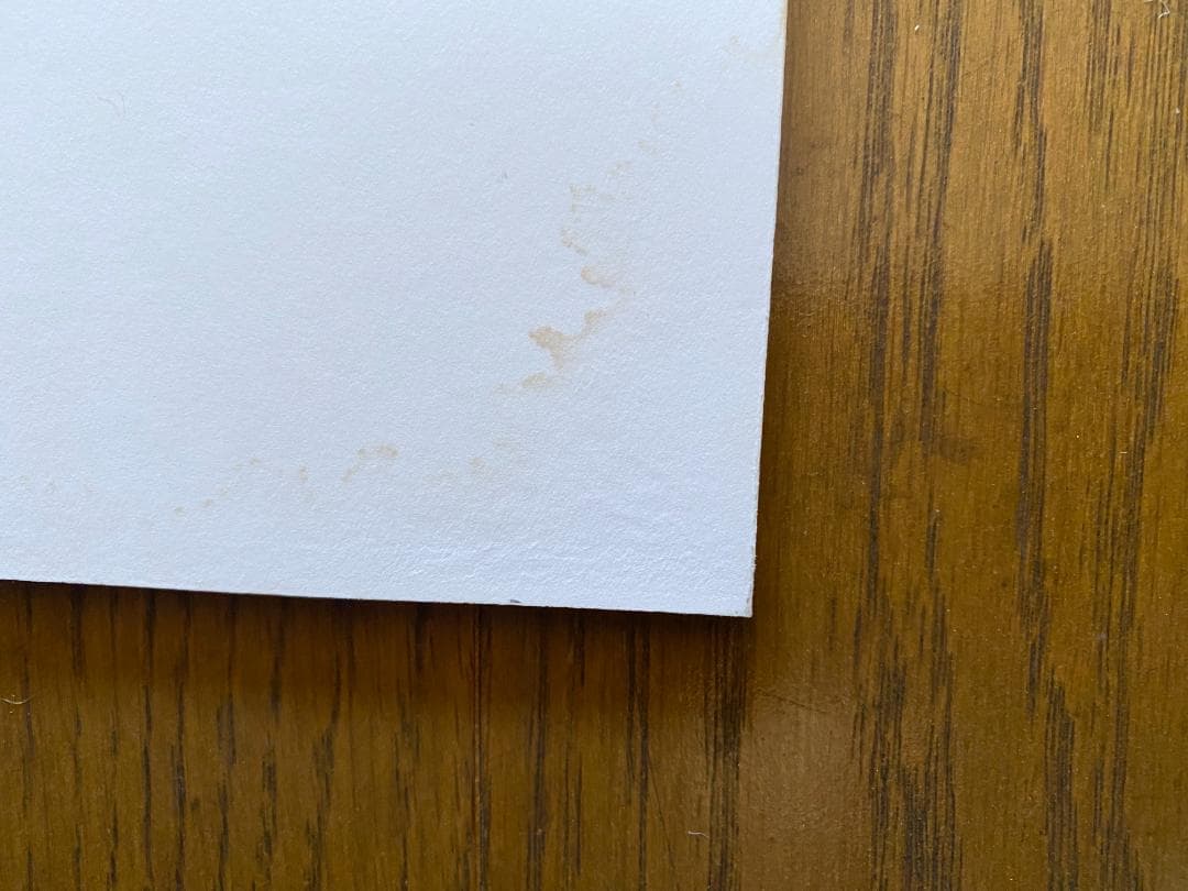 エレン・フォン・アンワース「GANG STER」オリジナル・プリント額装