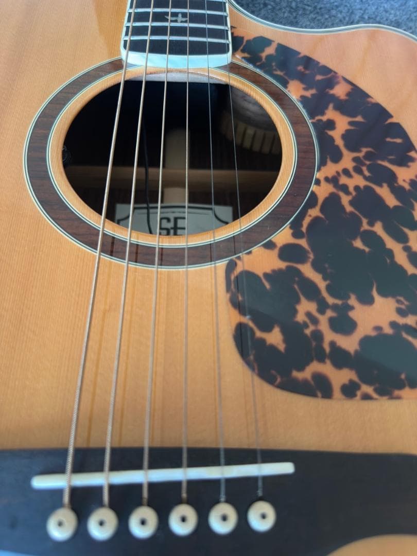 ギター PRS SE