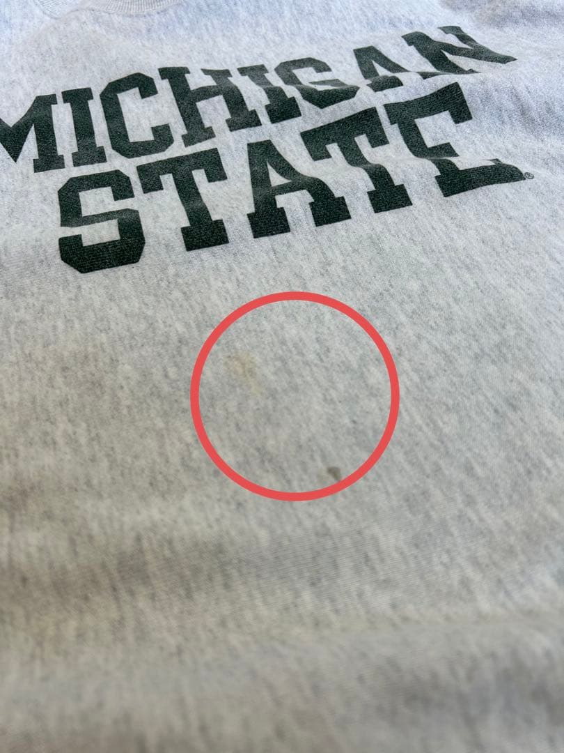 ★チャンピオン リバースウィーブ 青単タグ　スウェット　カレッジロゴ　ミシガン