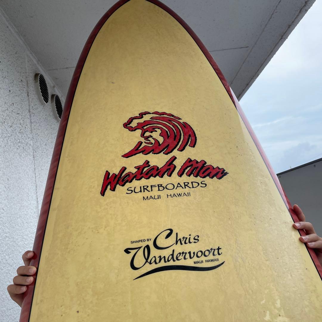 Wetah Man ロングボード Chris Vandervoort