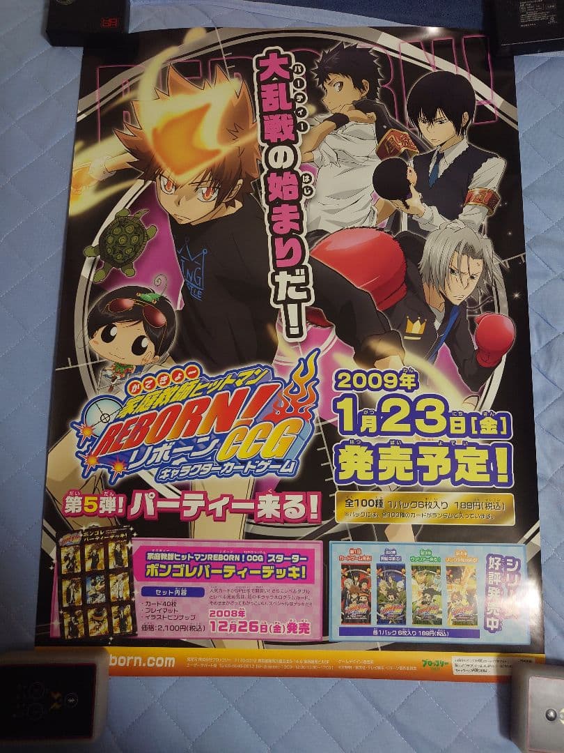 630.19枚セット　家庭教師ヒットマンREBORN!　CCG ポスター