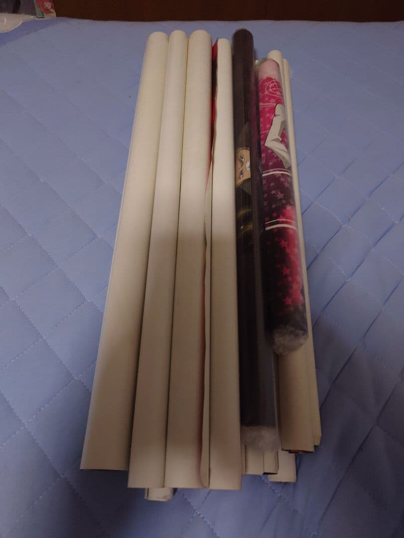 630.19枚セット　家庭教師ヒットマンREBORN!　CCG ポスター