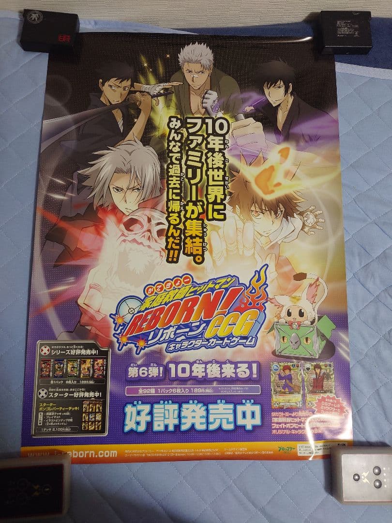 630.19枚セット　家庭教師ヒットマンREBORN!　CCG ポスター
