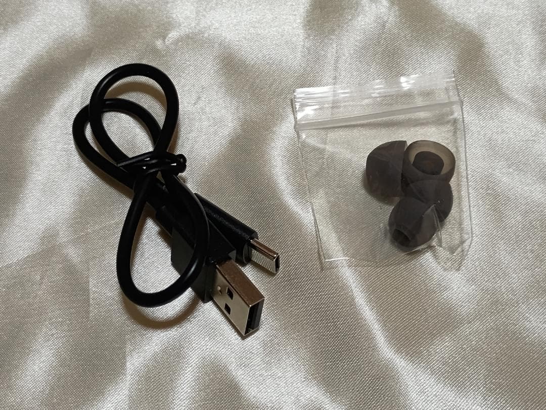 新品 ワイヤレスイヤホン AVIOT TE-V1R