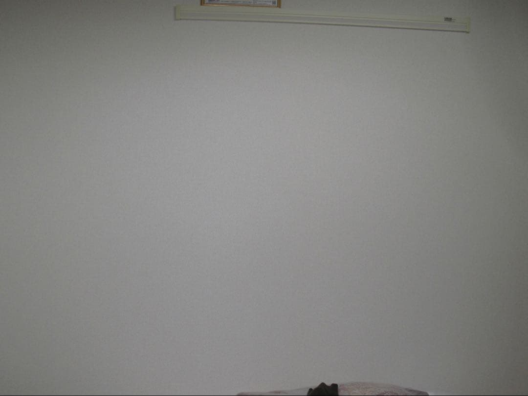 PowerShot G10 Canon名機